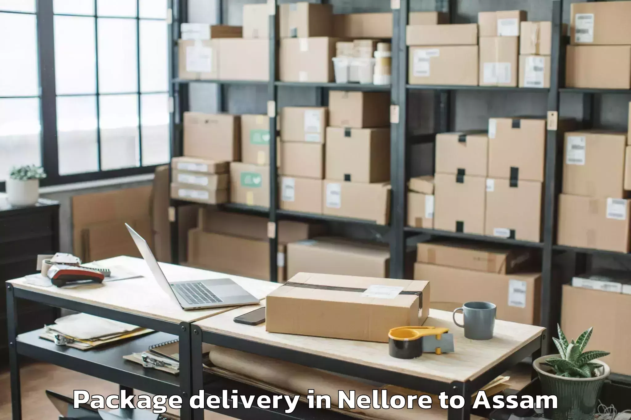 Nellore to Pachim Nalbari Package Delivery Booking